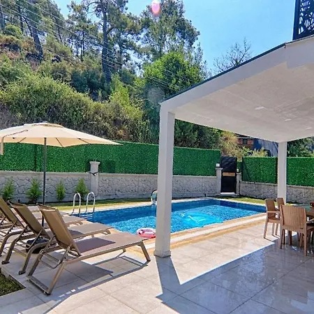 Villa Twin Detached With Private Pool In Inlice, Goecek